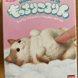 もっちりころりんねこ②へそ天ハチワレグレー