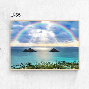 送料無料 A4サイズ インテリアフォト ポスターインテリア アート作品 写真 素敵 キレイ 可愛い