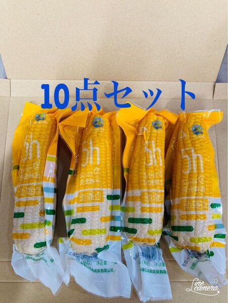 糯玉米棒 モチとうもろこし 軸付き糯玉米 10本セット