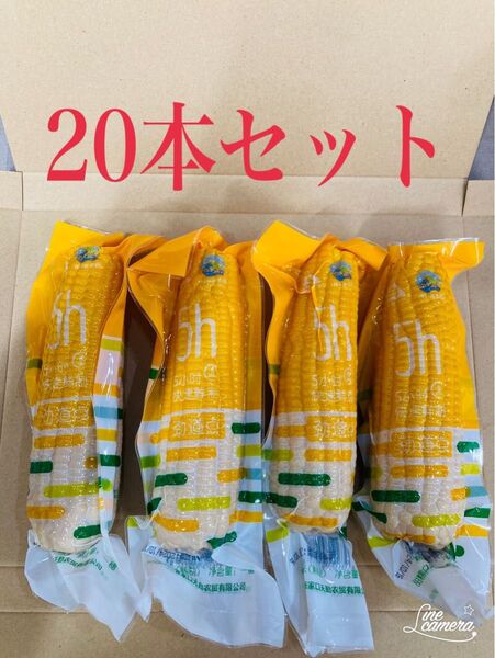 糯玉米棒 モチとうもろこし 軸付き糯玉米 20本セット