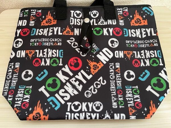 ディズニーランド スーベニア 2020 ランチケース トートバッグ 保冷バッグ