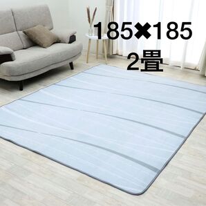 新品 2畳タイプ 防ダニ仕様 洗える フランネルラグ ウェーブ・アイスグレー
