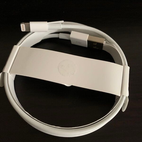 Apple 充電ケーブル