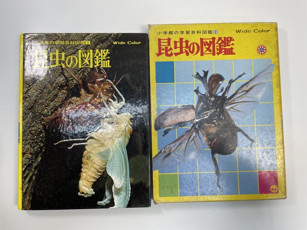 2025年最新】Yahoo!オークション -学習昆虫図鑑の中古品・新品 2025年最新】Yahoo!オークション -学習昆虫図鑑の中古品・新品