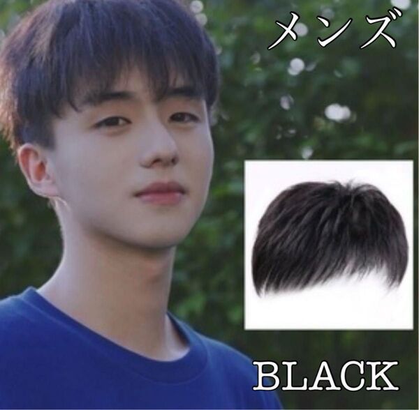 男性用 ツーブロック ウィッグ 黒 髪 韓国男子 コスプレ 医療用 かつら