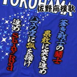 送料無料 佐野 応援歌 行白青金/青 刺繍 ワッペン 横浜 DeNA ベイスターズ 応援 ユニフォーム に