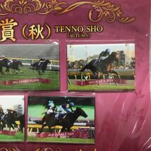 ★☆GⅠ 歴代天皇賞・秋 優勝馬 マグネットセット☆★_画像3