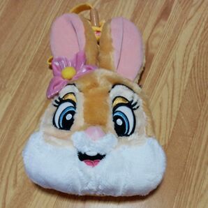 新規・評価10以下取引不可【中古美品】東京ディズニーリゾート ミスバニー パスケース