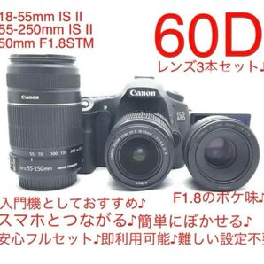 【動作絶好調!!】Canon EOS 60D トリプルレンズ♪
