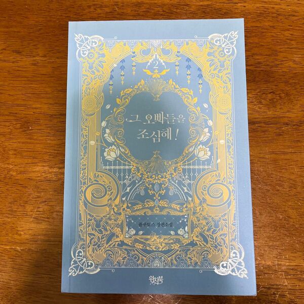 そのお兄ちゃんたちに気をつけて! ! 小説 韓国語 書籍 webtoon ウェブトゥーン 2巻