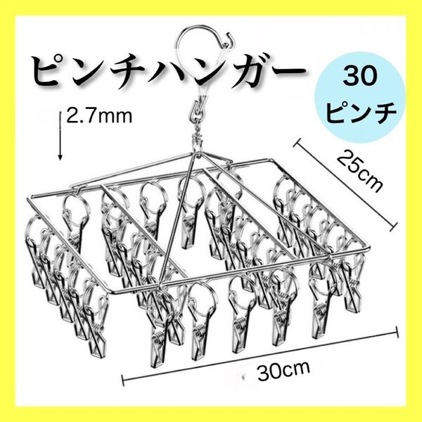 ピンチハンガー 30ピンチ ハンガー ステンレス 洗濯グッズ 洗濯バサミ 便利グッズ 物干し 洗濯物 靴下