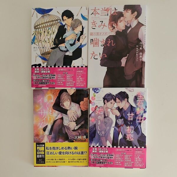 BL小説 金坂理衣子.火崎勇.なつめ由寿子.きたざわ尋子 4冊セット