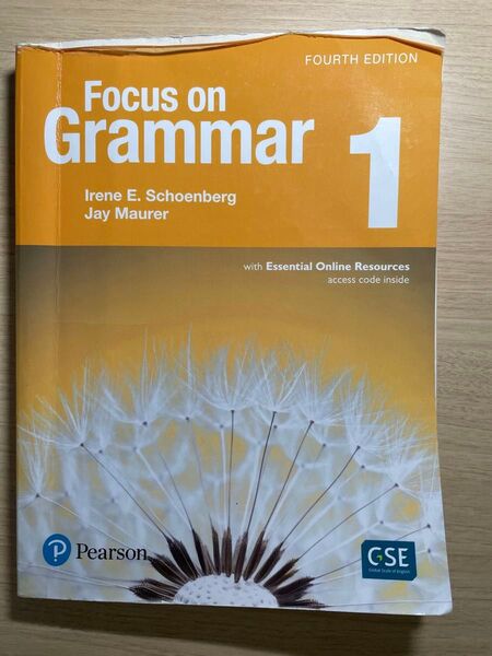 Focus on Grammar 1