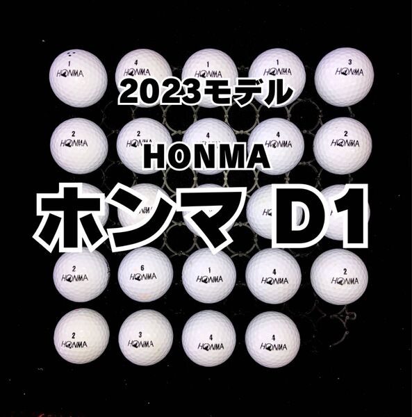89 2023モデル ホンマD1 ロストボール24球