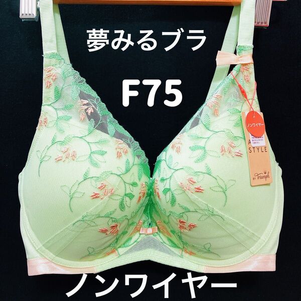 F75 トリンプ ワイルドステム 1368 夢みるブラ ノンワイヤー #2