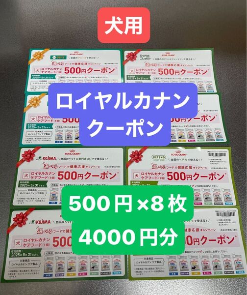 ロイヤルカナン クーポン 500円×8枚 4000円分 犬用