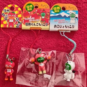 まりもっこり 信州限定 3種 根付け ストラップ