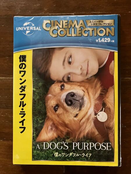 DVD 僕のワンダフル・ライフ 未使用品