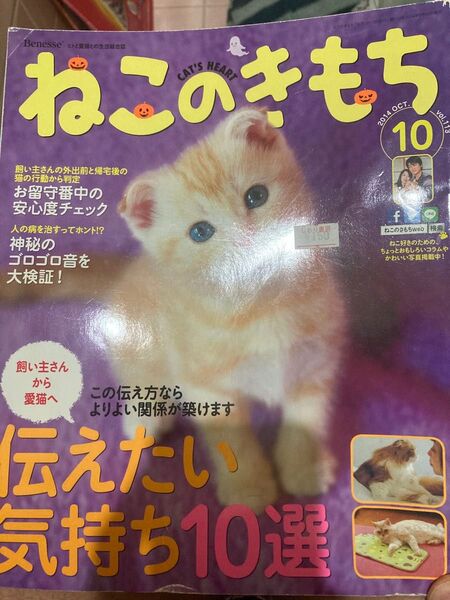 猫のきもち 雑誌
