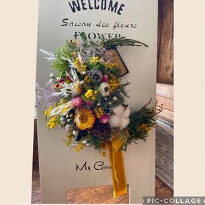 春の訪れミモザ 三日月natural dry flower swag38㎝