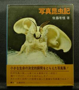 [ super rare ][ beautiful goods, box attaching ] secondhand book photograph insect chronicle Sato have . work, black . good ...( stock )... bookstore 