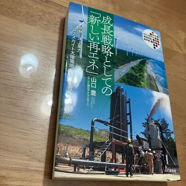 成長戦略としての「新しい再エネ」 山口豊/著