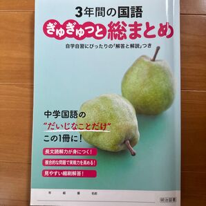 3年間の国語 ぎゅぎゅっと総まとめ