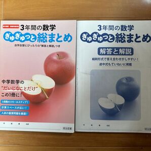 中学3年 ぎゅぎゅっと総まとめ 問題集 解答解説