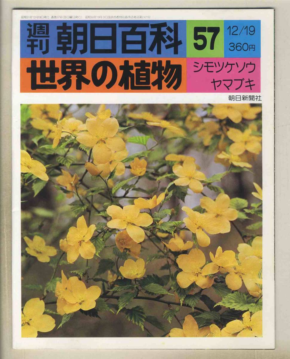 2025年最新】Yahoo!オークション -朝日百科 植物の世界の中古品 2025年最新】Yahoo!オークション -朝日百科 植物の世界の中古品