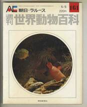 【d8848】74.5.5 週刊世界動物百科161／無脊椎動物、原索動物門、被嚢亜門、口索動物門、… [朝日=ラルース]_画像1