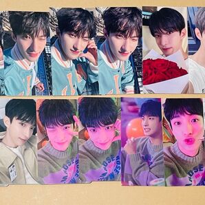 SEVENTEEN ドギョム SPILL THE FEELS 消費期限 会場限定 来場者限定 特典 13枚 トレカセット