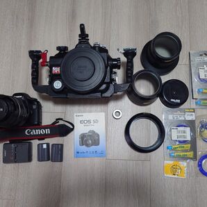 キヤノン EOS5D、100mmマクロ、ハウジングポートセット