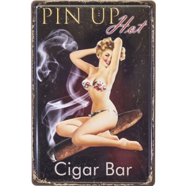 【AME0029】新品 レトロ エンボス ブリキ看板 ★ Hot PIN UP ★ sexy セクシー