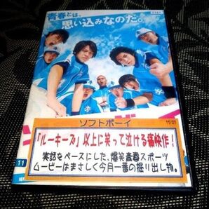 ソフトボーイ DVD レンタル落ち