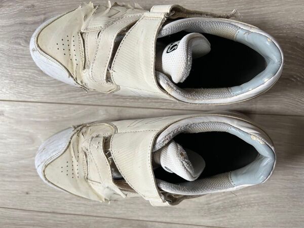 asics 野球スパイク 24.5cm