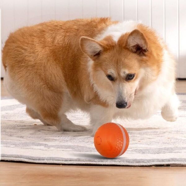 犬ボール 犬おもちゃ 電動ボール 光るボール 電動 ボール ペット 犬 猫 運動 usb充電 プレゼント 水洗い 洗える