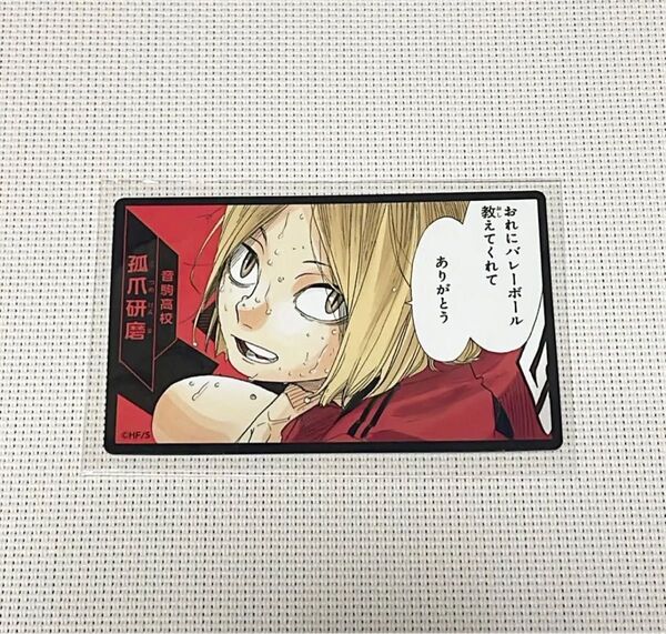 ハイキュー 孤爪 ボードゲーム
