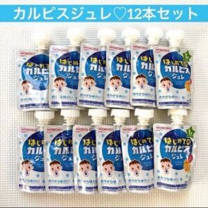 和光堂 はじめてのカルピス ジュレ 70g 12個セット まとめ売り