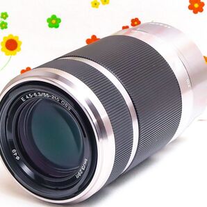 SONY ソニー E 55-210mm OSS☆望遠レンズ☆イベントなどで大活躍