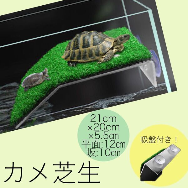 亀 芝生 カメ アクアリウム 芝 水槽 坂道 坂 段差 吸盤 人工芝