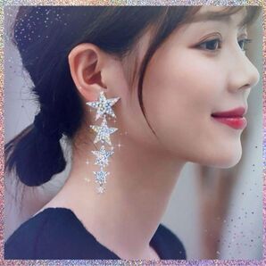 タッセルピアス スター 星 非対称 大振り シルバー アクセサリー アクセ 韓国