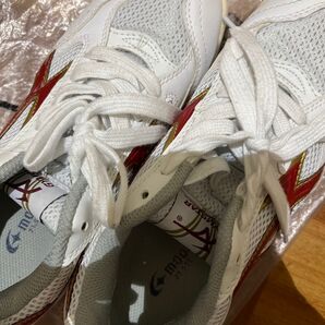【 3年使用 】 上履き 24cm 女子高生 JK ムーンスター 白