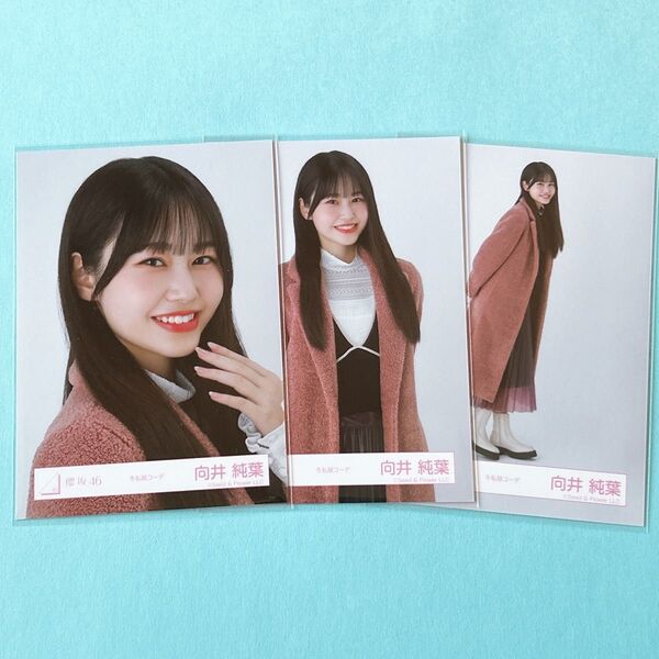 櫻坂46 向井純葉 生写真 冬私服衣装 セミコンプ