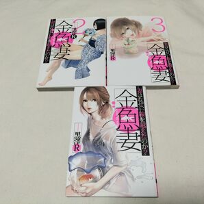 金魚妻 1‐3巻 黒沢R 集英社