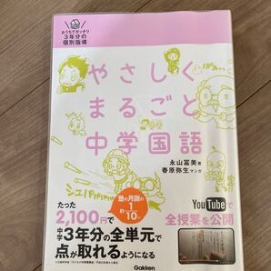イイネ感謝値引き中!おまとめ値引きします!中やさしくまるごと中学国語 おうちでガッチリ3年分の個別指導