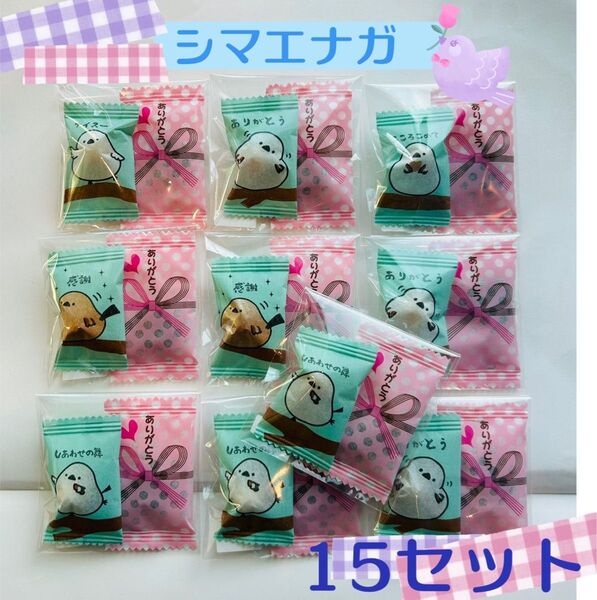 【thank youプチギフト15個】シマエナガチョコレート