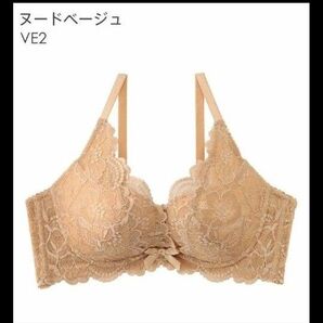 カシュクール 脇高ブラ C70