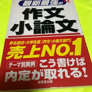 作文小論文