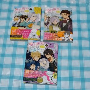 婚約破棄の手続きはお済みですか? 第二の人生を謳歌しようと思ったら、ギルドを立て直すことになりました 1~3のセット