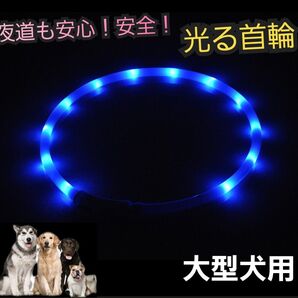 光る首輪 発光首輪 大型犬 夜散歩 LEDライト